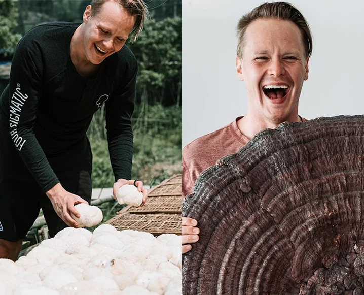 tero four sigmatic founder