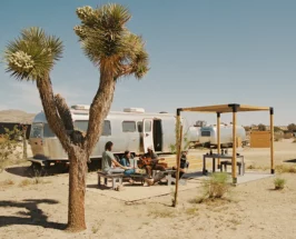 autocamp experiences joshua tree