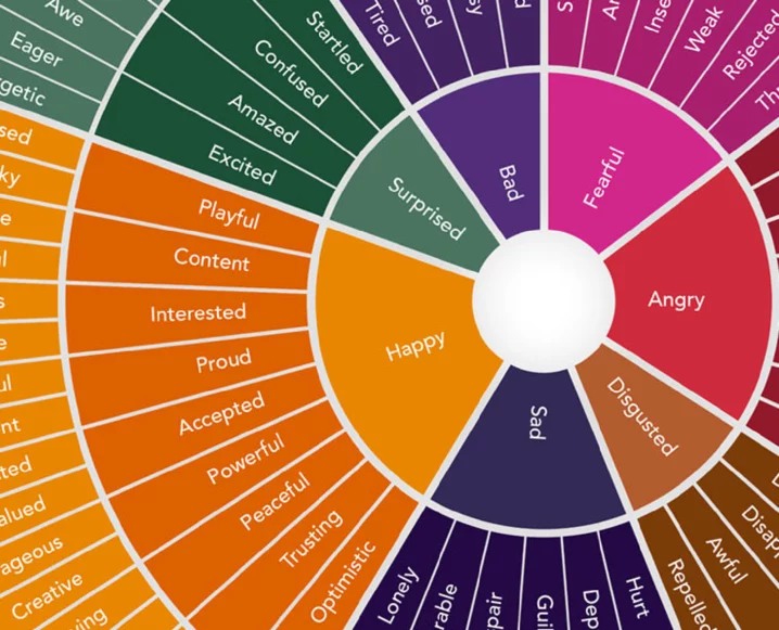 Emotional GPS: A Step-by-Step Guide to Understanding Your Emotions