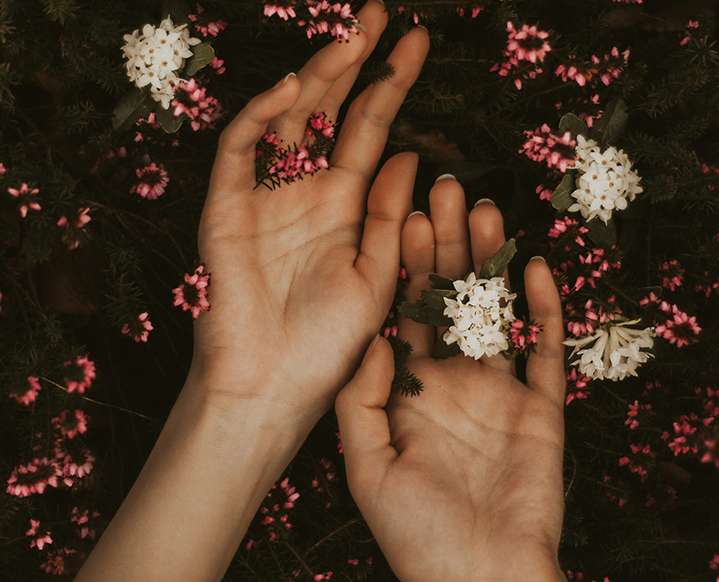 5 Powerful Herbs to Naturally Detox and Cleanse Your Body
