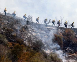 How to Help Los Angeles Fire Victims Right Now